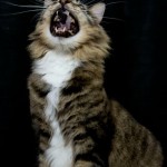 136